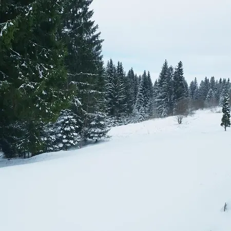 A36 Silver Mountain Apartment Poiana Brasov