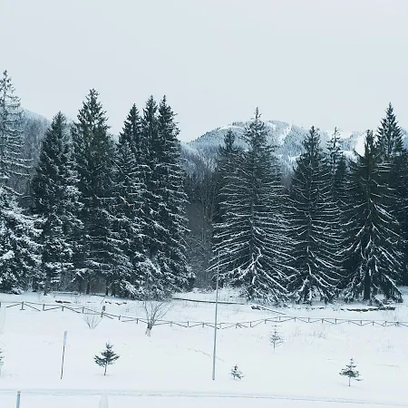 A36 Silver Mountain Poiana Brasov